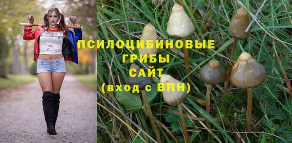 Альфа ПВП Алзамай