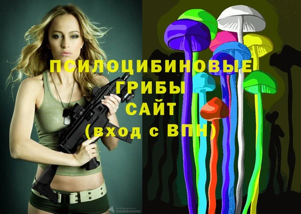 бутират Алексин
