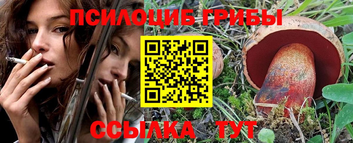 Псилоцибиновые грибы GOLDEN TEACHER Ярцево